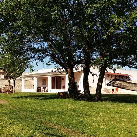 אבולה Villa Luna A Pochi Passi Dalla Spiaggia מראה חיצוני תמונה
