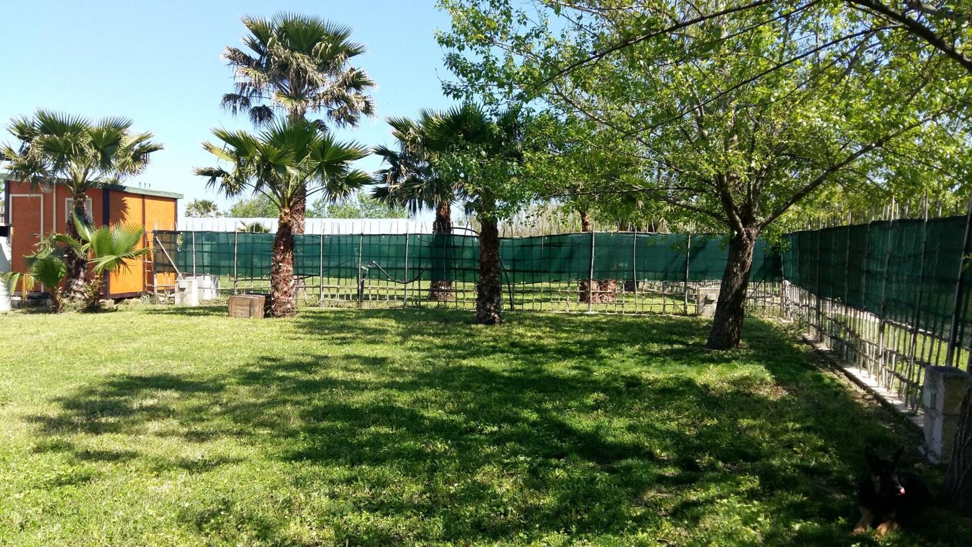 אבולה Villa Luna A Pochi Passi Dalla Spiaggia מראה חיצוני תמונה