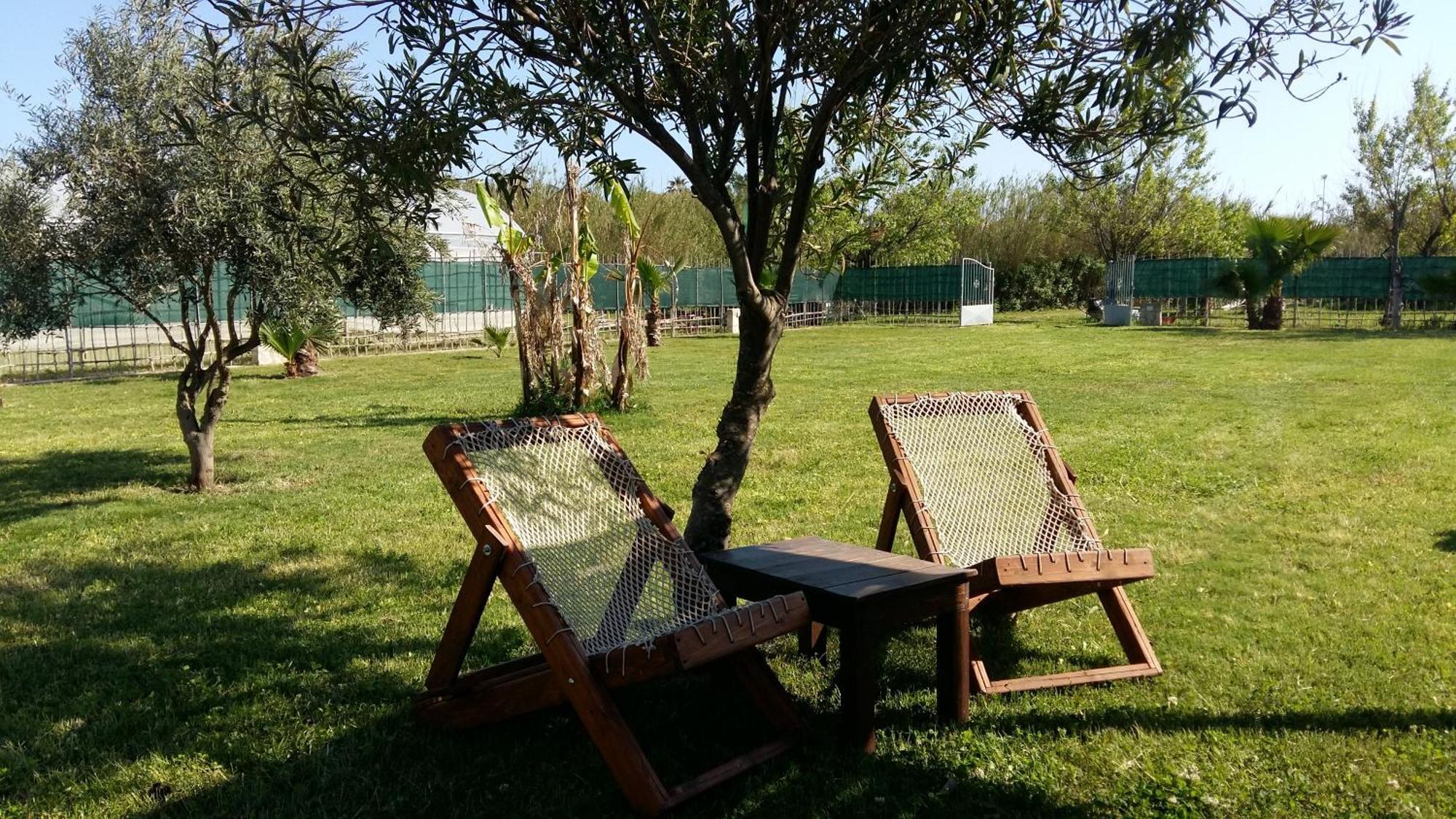 אבולה Villa Luna A Pochi Passi Dalla Spiaggia מראה חיצוני תמונה