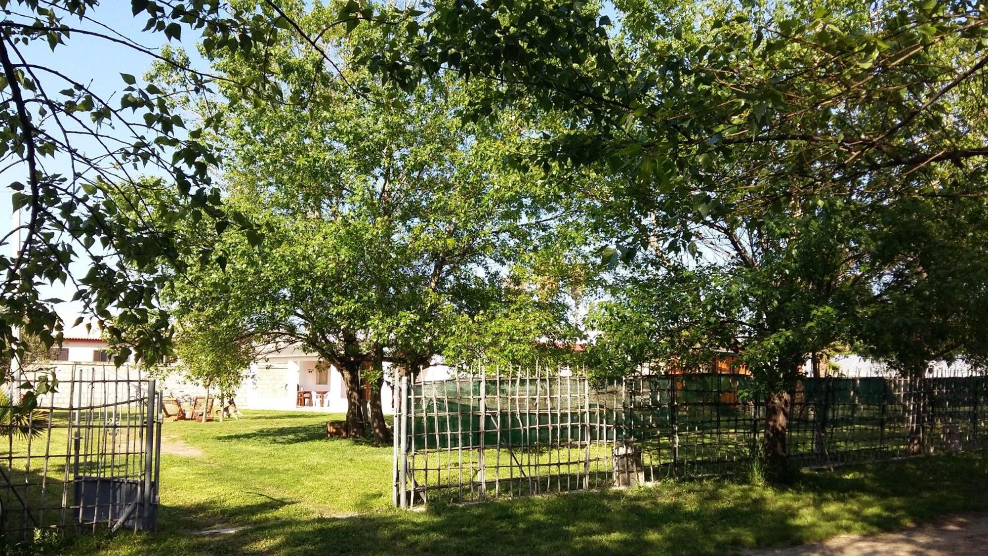 אבולה Villa Luna A Pochi Passi Dalla Spiaggia מראה חיצוני תמונה