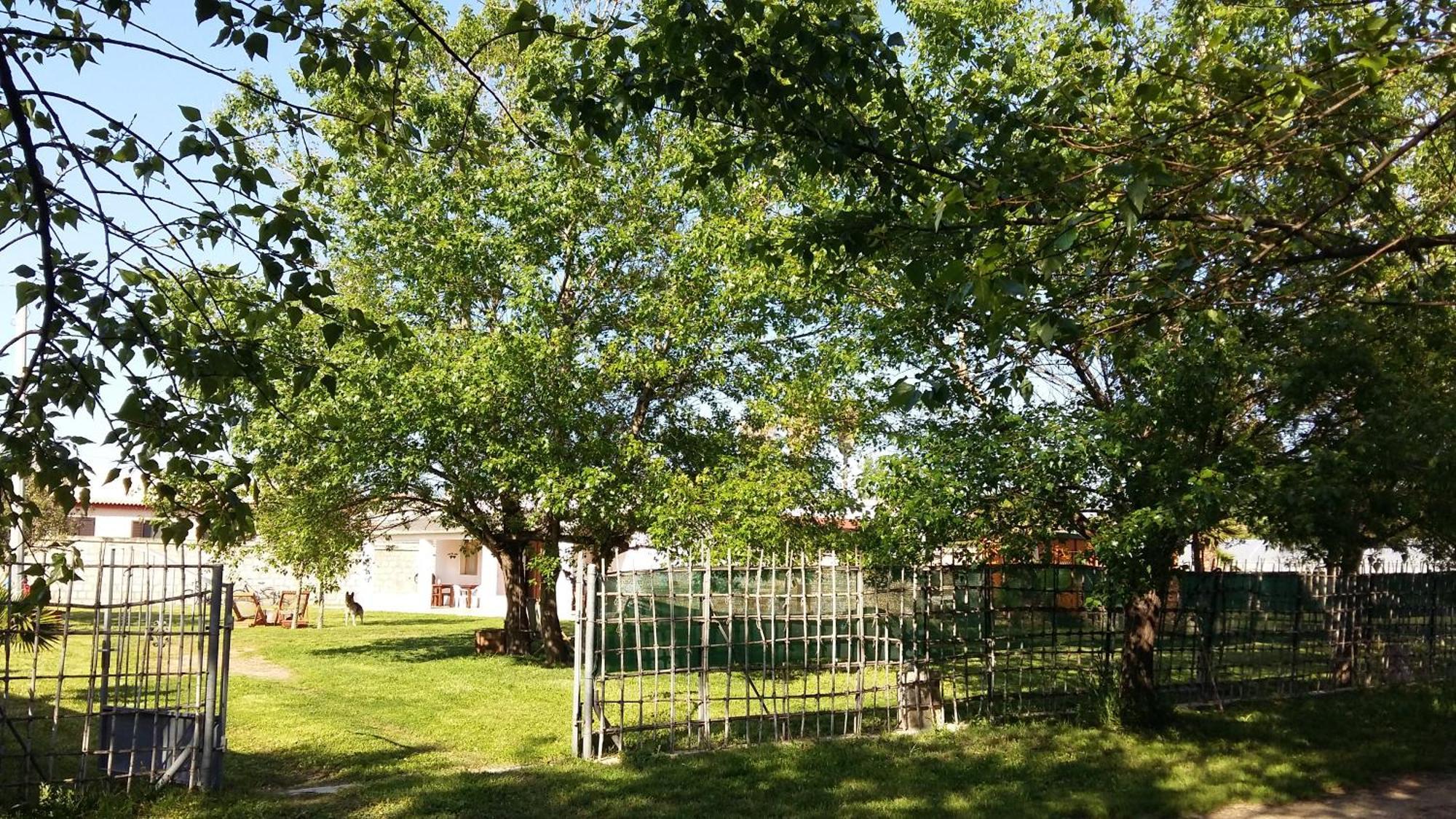 אבולה Villa Luna A Pochi Passi Dalla Spiaggia מראה חיצוני תמונה